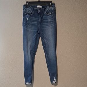 Vervet Distressed Skinny Jeans